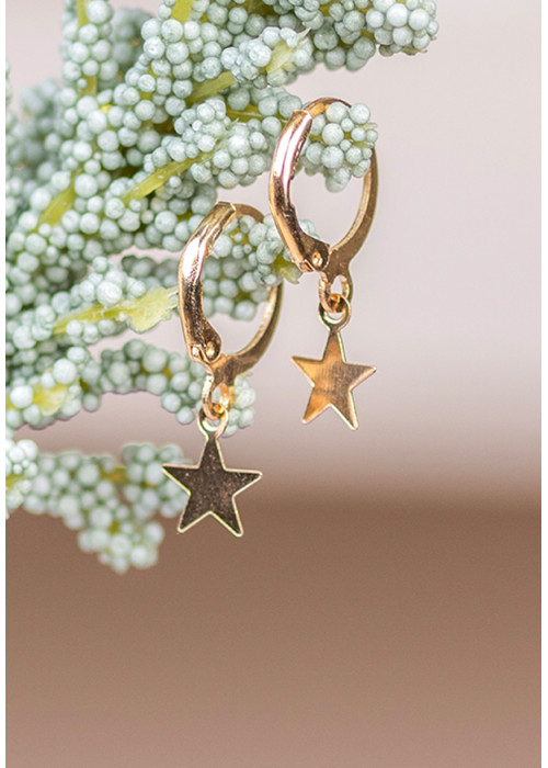 STAR CHARM TASSEL EARRING